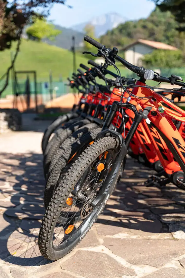 Biciclette allineate, sfondo montagne e cielo chiaro.